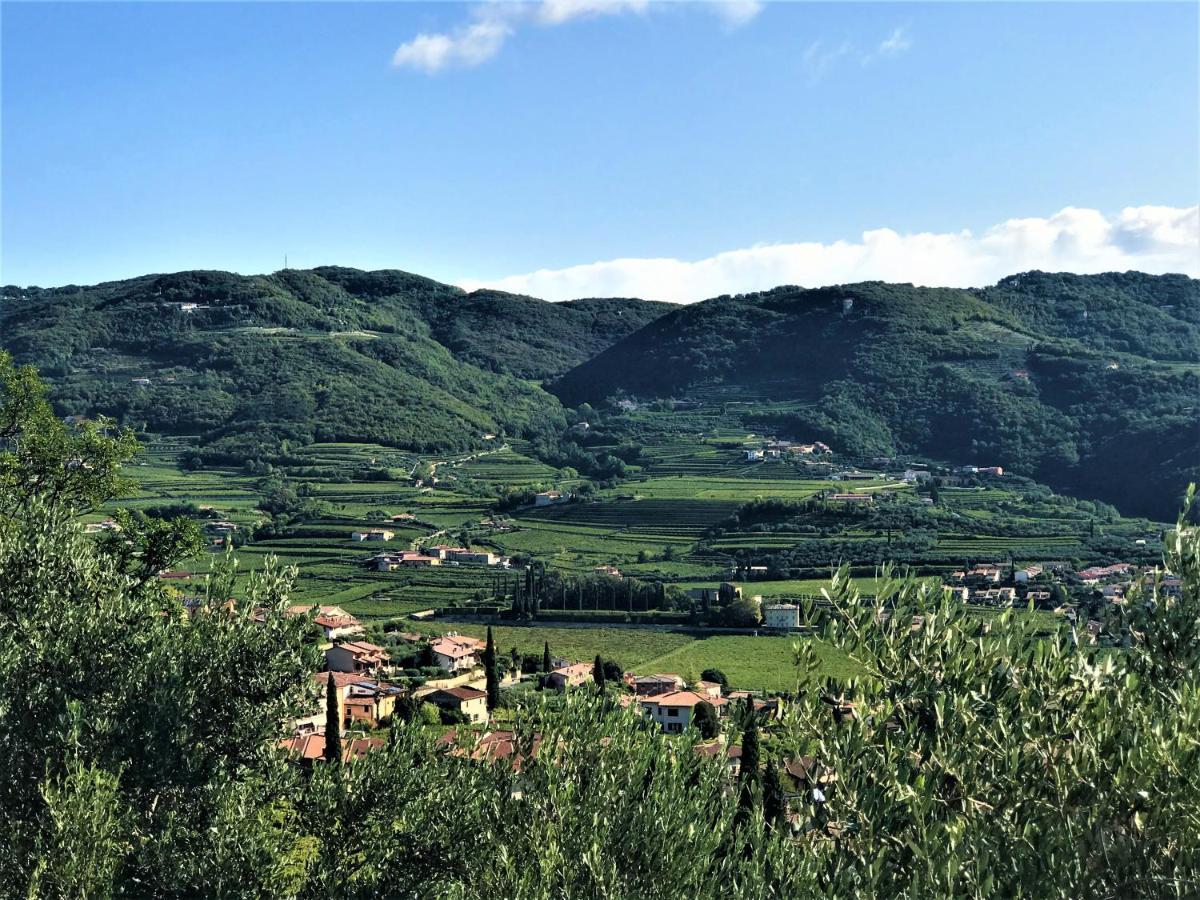 Valpolicella Hills Apartamento Negrar Exterior foto