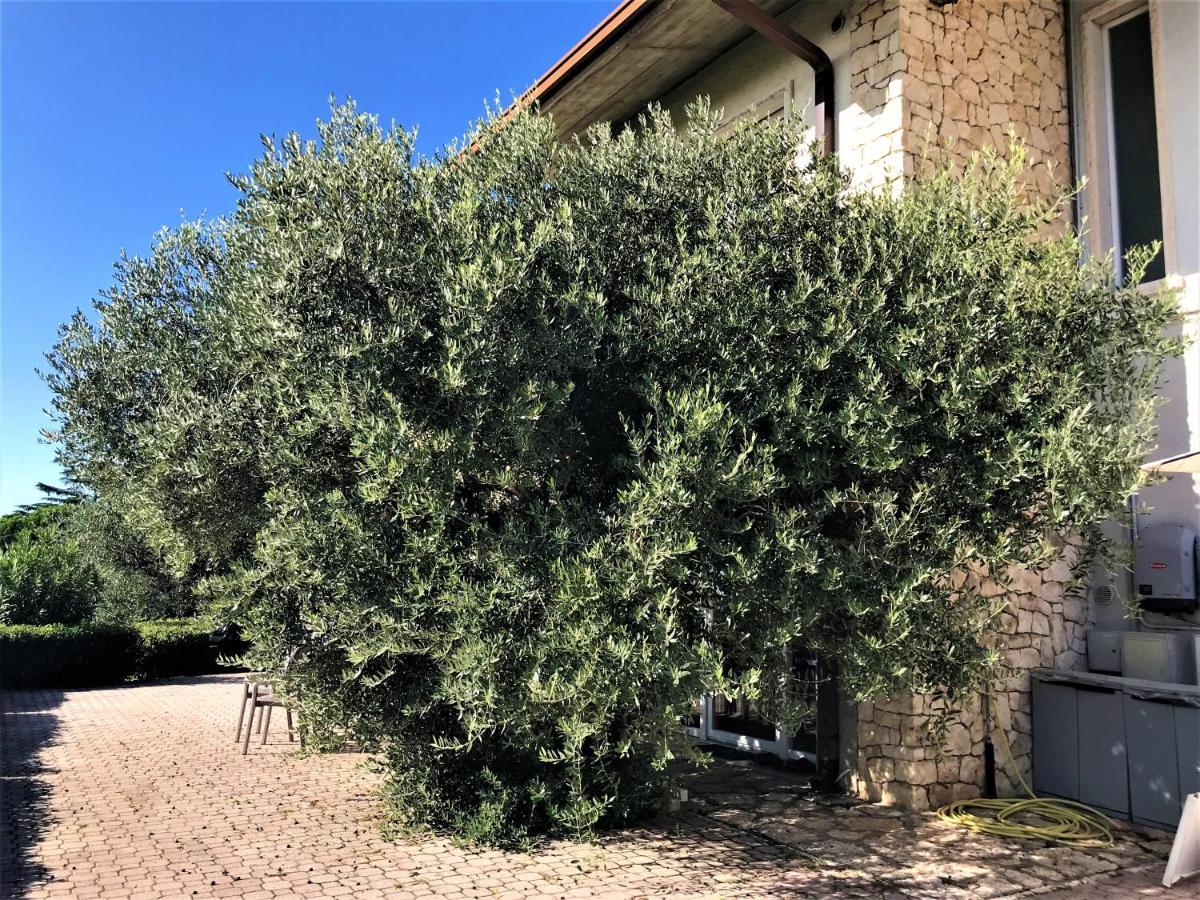 Valpolicella Hills Apartamento Negrar Exterior foto
