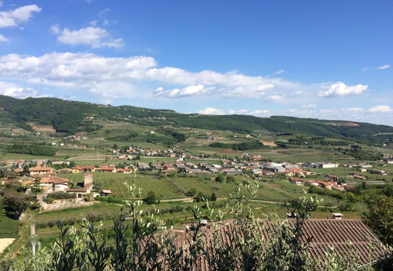 Valpolicella Hills Apartamento Negrar Exterior foto
